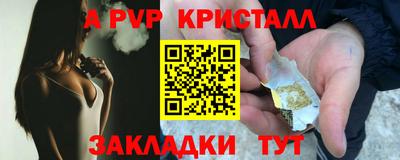 гидра Будённовск