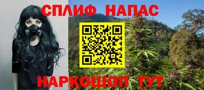 гидра Будённовск