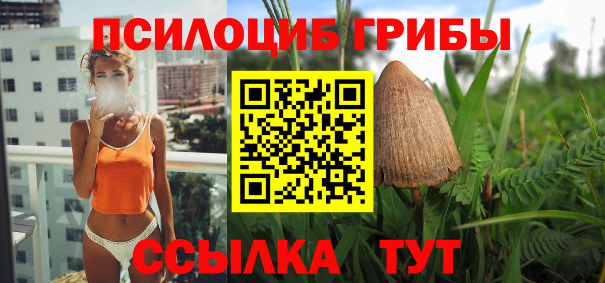 Псилоцибиновые грибы мицелий  Галлюциногенные грибы MAGIC MUSHROOMS  купить закладку  Вход с VPN  Орск 