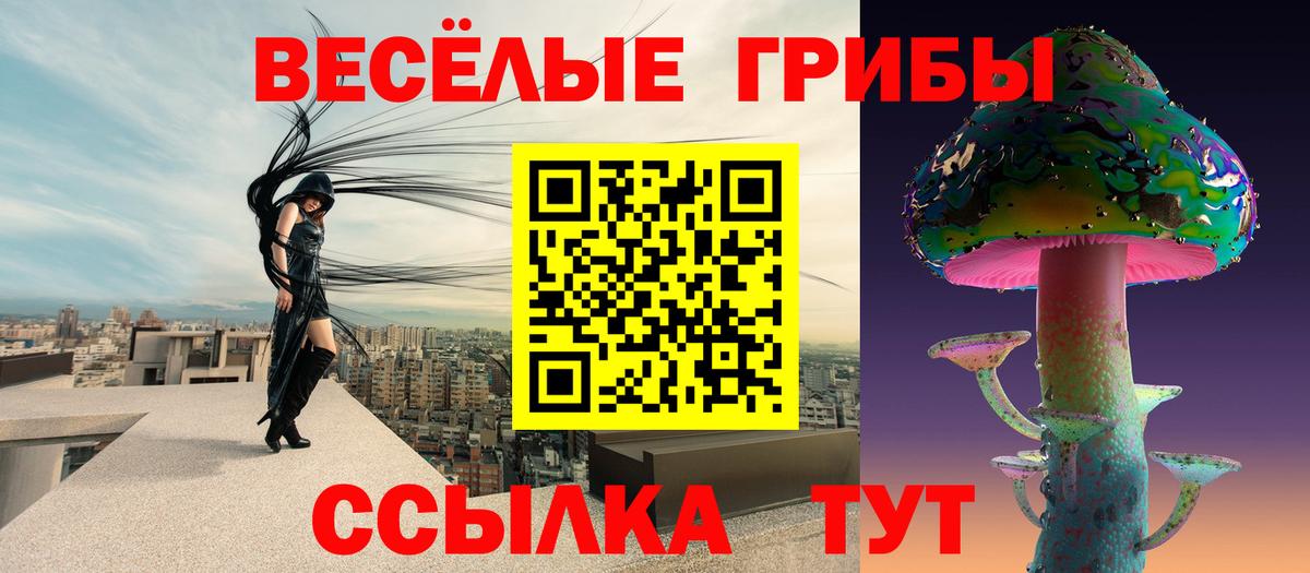 Псилоцибиновые грибы мицелий Орск
